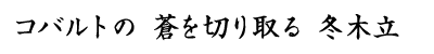 「コバルトの　蒼を切り取る　冬木立」